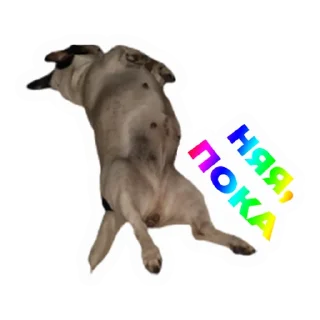 Стикер Фен & Фок - 4