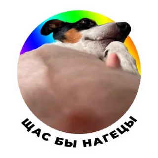 Стикер Фен & Фок - 1