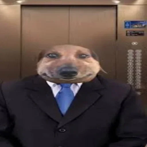 pukikakiferm @fermapk - 