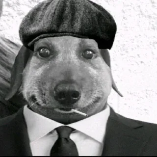 Sticker pukikakiferm @fermapk - 5