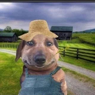 Sticker pukikakiferm @fermapk - 3