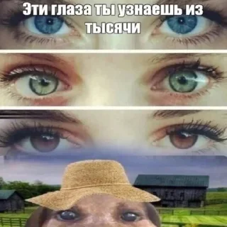 Sticker pukikakiferm @fermapk - 1