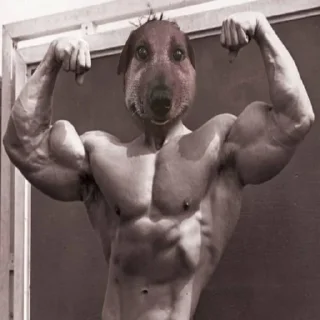 Sticker pukikakiferm @fermapk - 4