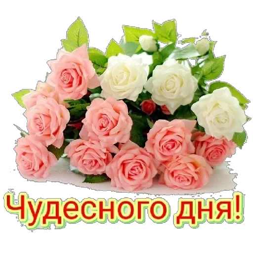 все все все - 