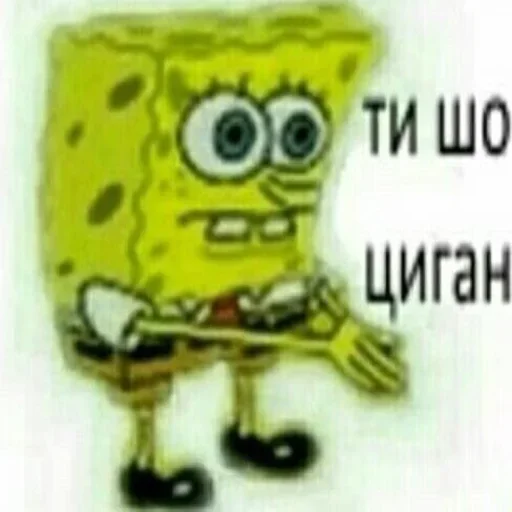 контейнер комнатный стекло