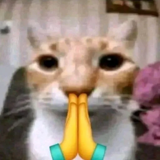 Sticker ffuckingkity - 1