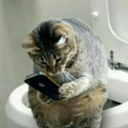 Sticker ffuckingkity - 1