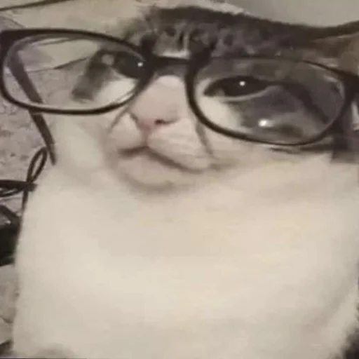 Sticker ffuckingkity - 1