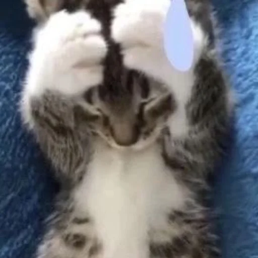 Sticker ffuckingkity - 1