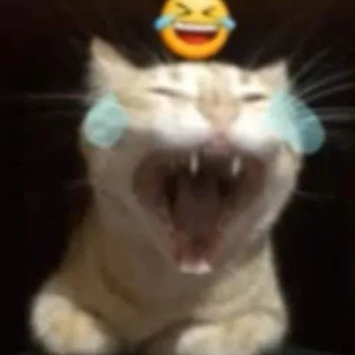 Sticker ffuckingkity - 1