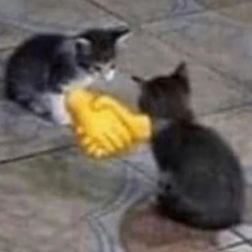 Sticker ffuckingkity - 1