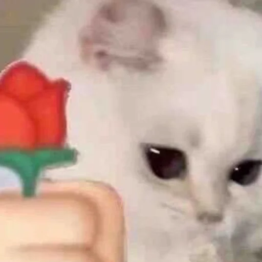 Sticker ffuckingkity - 1