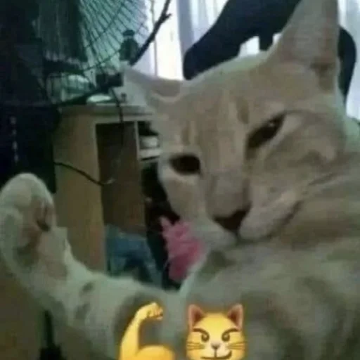 Sticker ffuckingkity - 1