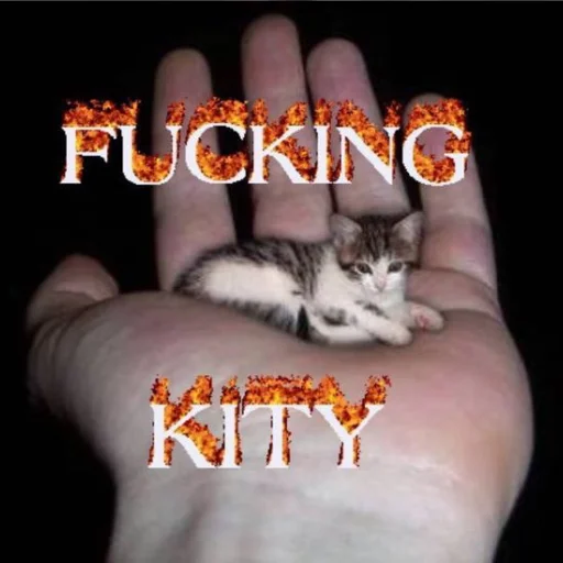 fucking kity @dnwlde - 