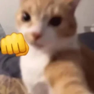 Sticker fucking kity @dnwlde - 6