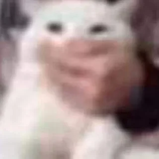 Sticker fucking kity @dnwlde - 8