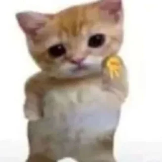 Sticker fucking kity @dnwlde - 11