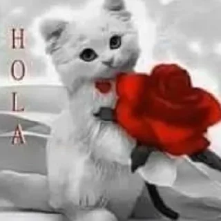 Sticker fucking kity @dnwlde - 5