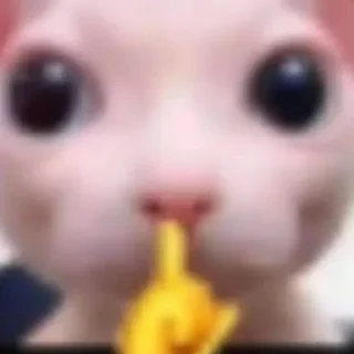 Sticker fucking kity @dnwlde - 1