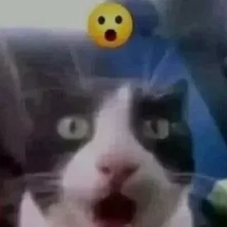 Sticker fucking kity @dnwlde - 7