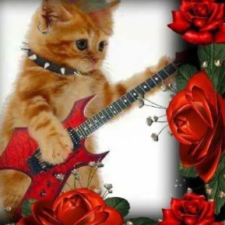 Sticker fucking kity @dnwlde - 4