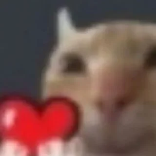 Sticker fucking kity @dnwlde - 3