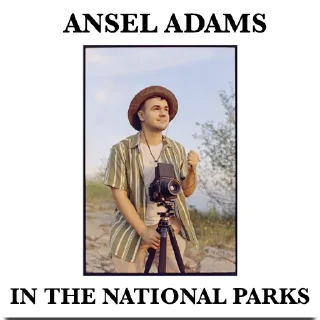 Sticker пленочная меланхолия 2 - 5