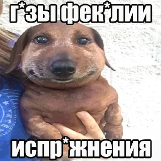 Sticker отфильтров*нный к*лл @kkch_pranks - 8