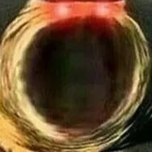 беспозвоночный животное красный