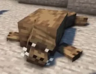 Sticker 13🔥 @Lololoshka_video - 6