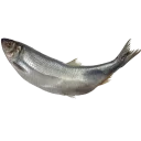 Sticker fish (@moloko_stk) - 2