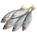 Sticker fish (@moloko_stk) - 5