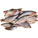 Sticker fish (@moloko_stk) - 9