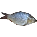 Sticker fish (@moloko_stk) - 3