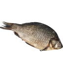 Sticker fish (@moloko_stk) - 10