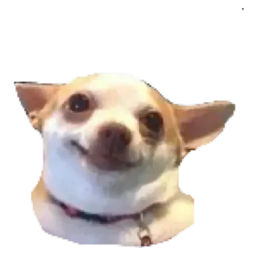 Sticker floodmasters - 1