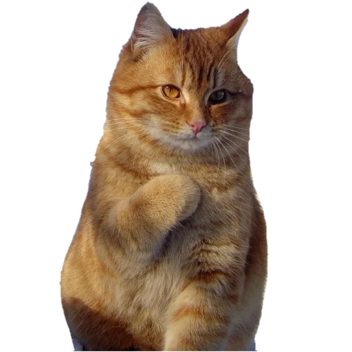 Sticker floodmasters - 1