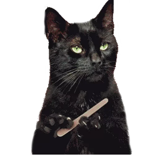 Sticker floodmasters - 1