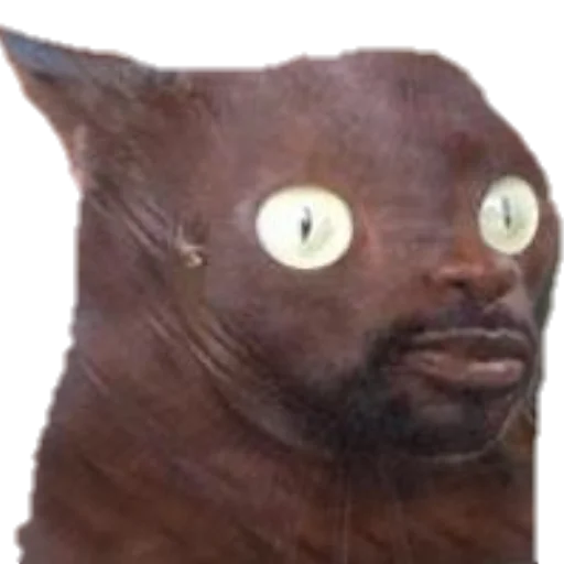 Sticker floodmasters - 1