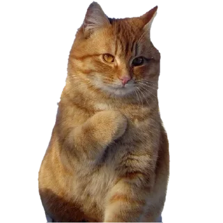 Sticker gafuk_floodmasters (╯ ° □ °) ╯ (┻━┻) - 9