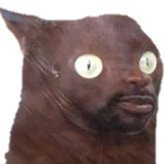 Sticker gafuk_floodmasters (╯ ° □ °) ╯ (┻━┻) - 4