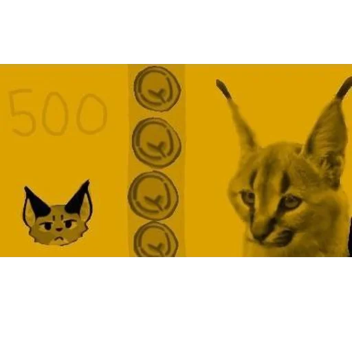 Sticker flopcity - 1