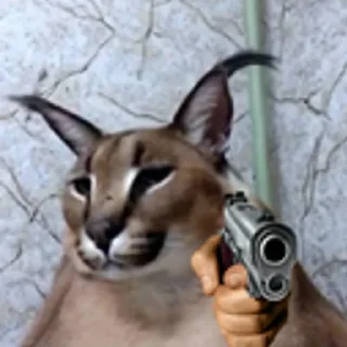 Стикер ШлепСити - 5