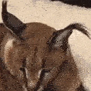 Стикер ШлепСити - 6