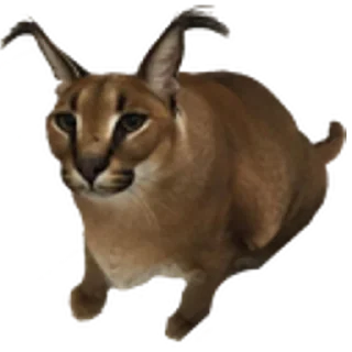 Стикер ШлепСити - 9