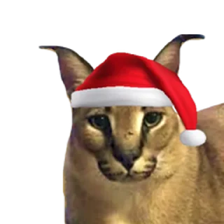 Стикер ШлепСити - 10