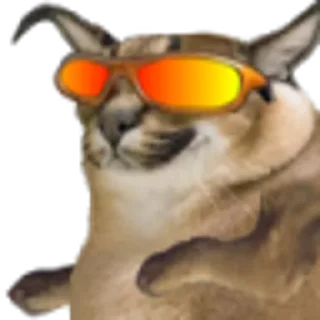 Стикер ШлепСити - 1