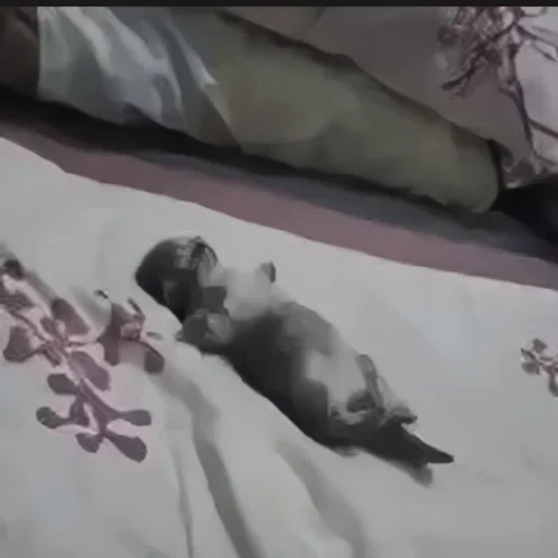 Sticker Кликай - @flopia - 9