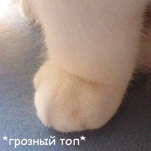 Sticker Кликай - @flopia - 2