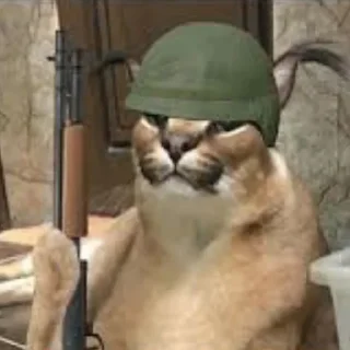 Sticker Floppa1_by_KOTIN - 9